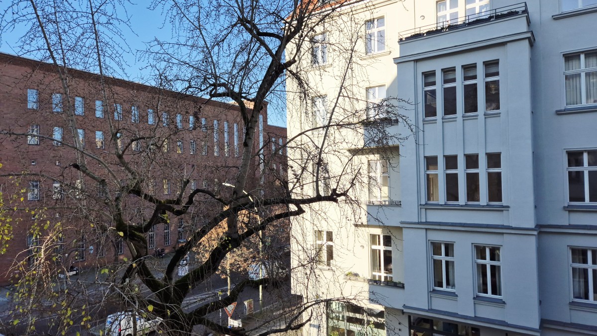 Ausblick