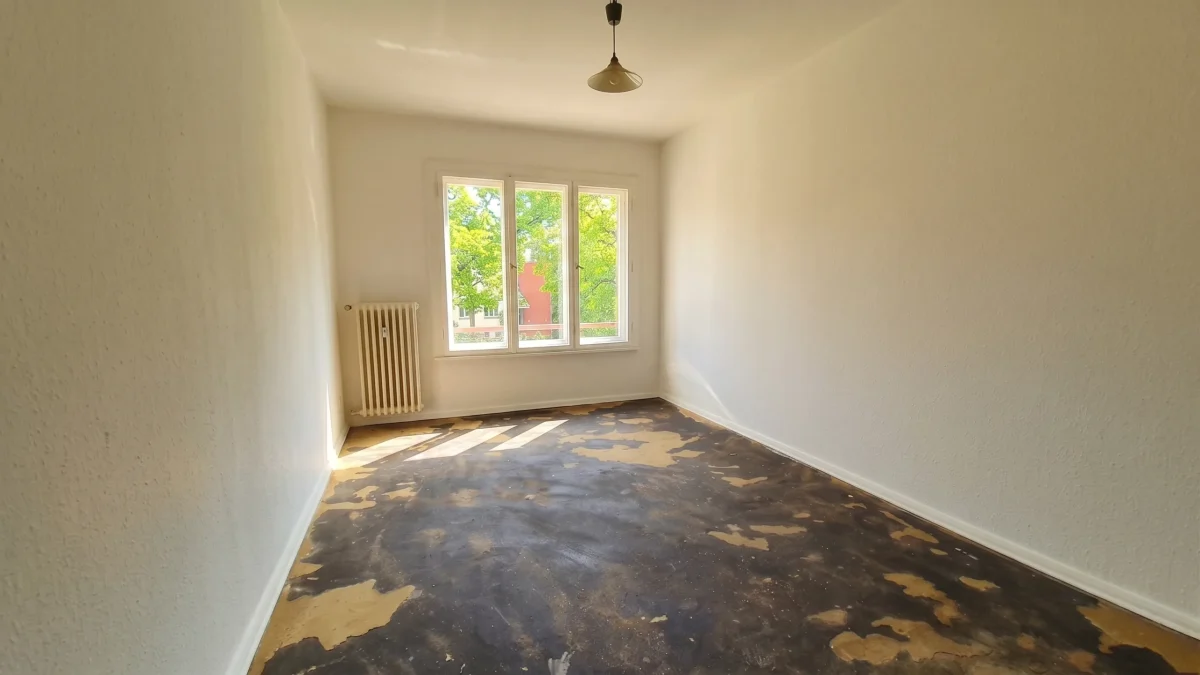 Viel Licht für Wohnträume