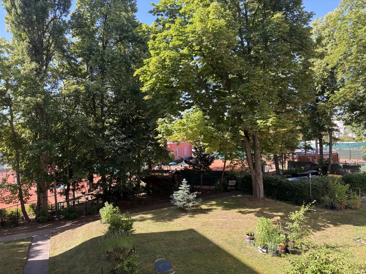 Ausblick ins Grüne