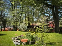 Begrünte Hofseite
