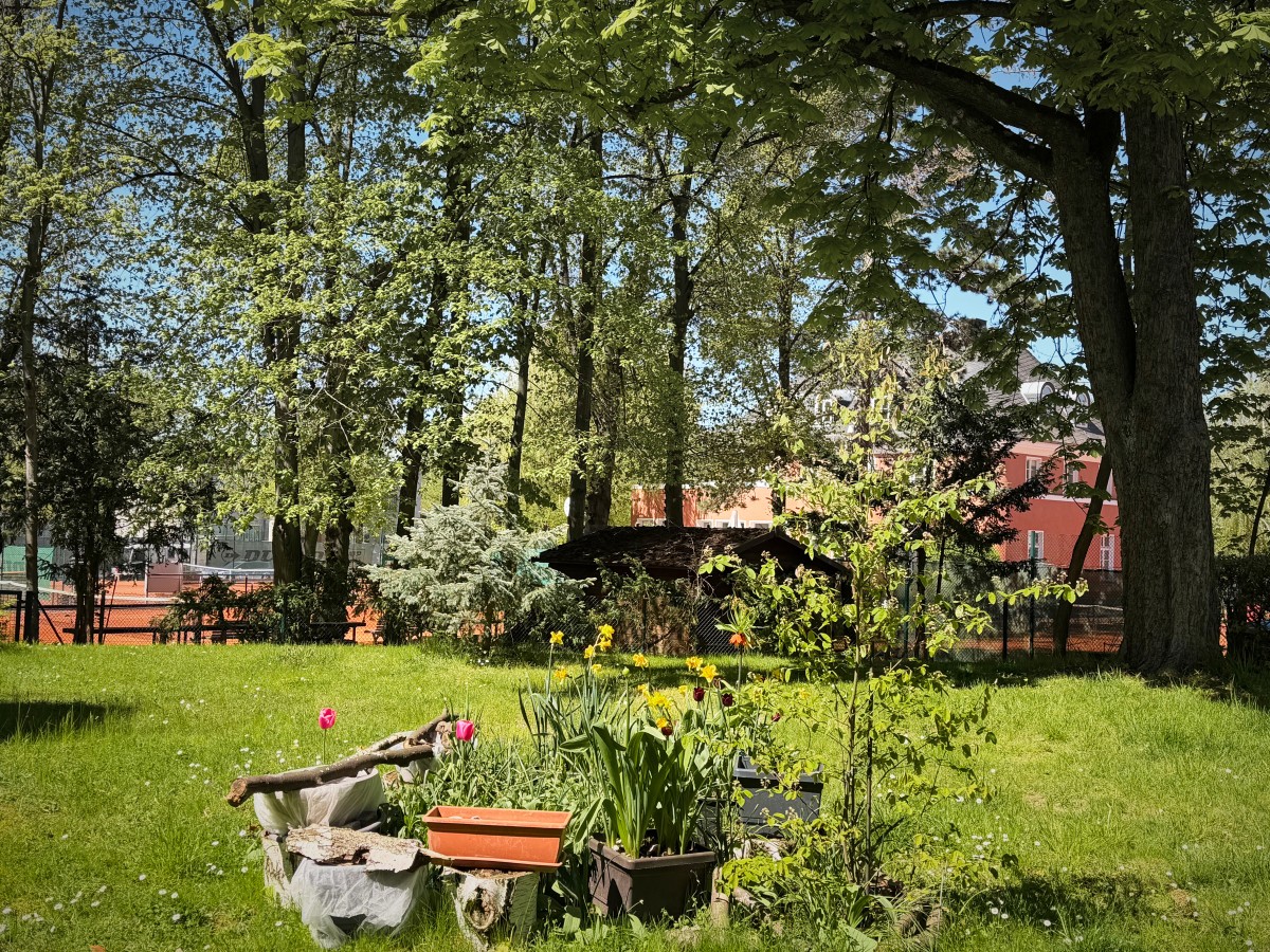 Begrünte Hofseite