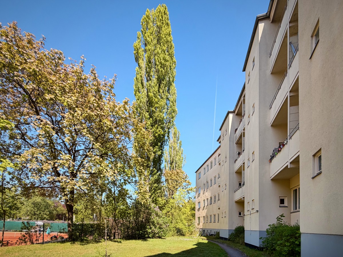 Hofseite