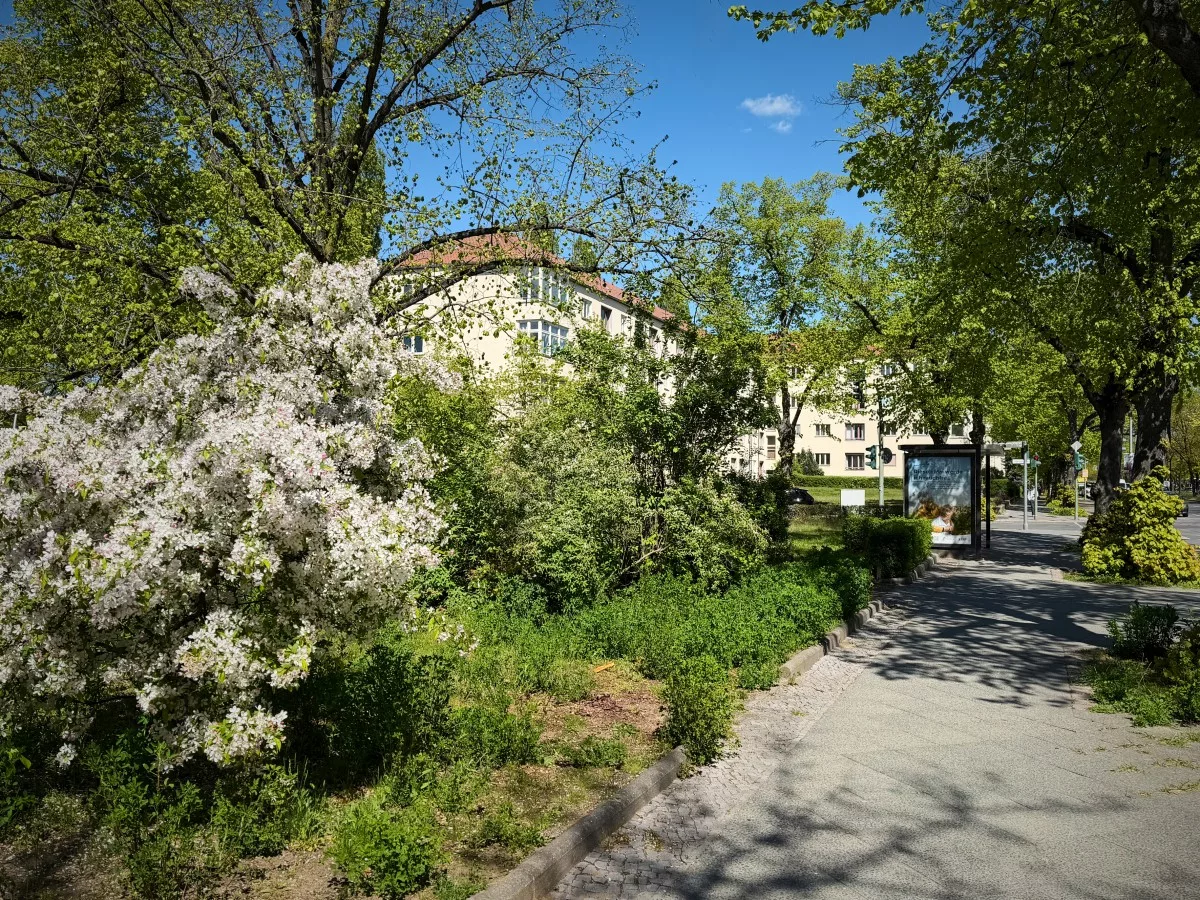 Umgebung 76