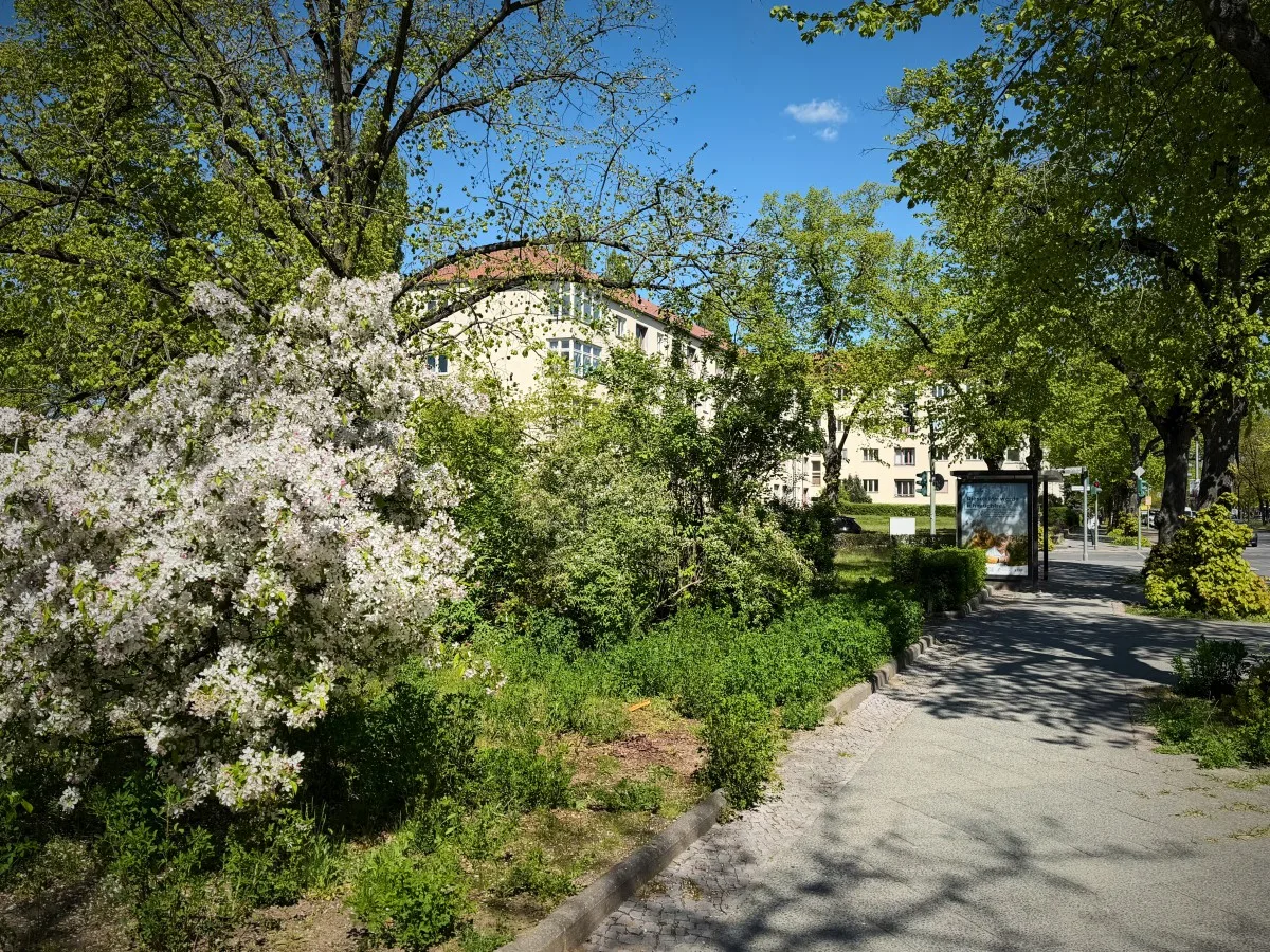 Umgebung 76