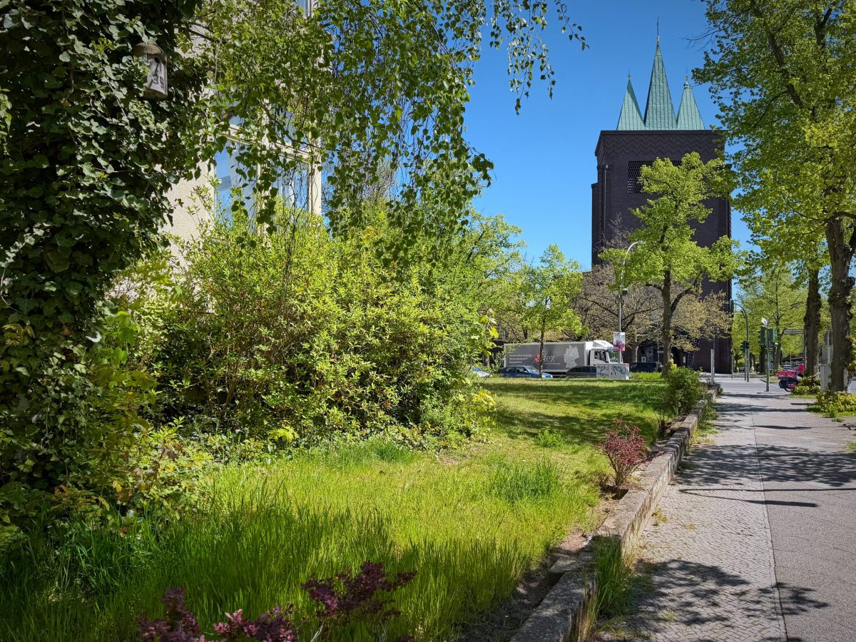 Die Umgebung